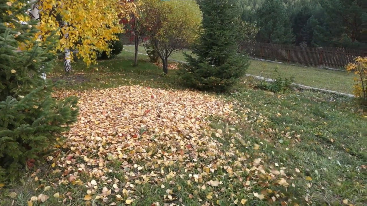 https://almetevsk.mslandshaft.ru/storage/app/uploads/public/642/ac5/f22/642ac5f2293e2935715739.jpg